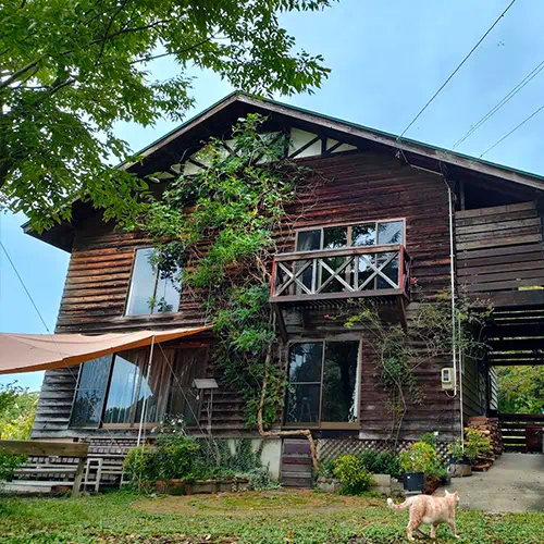 一棟貸しコサクレム